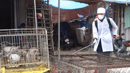 Quang Ninh strengthens border inspection given China’s H7N9 outbreak