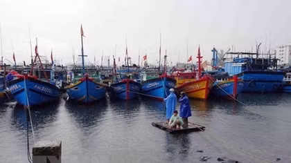 Kien Giang announces list of violating fishing vessels