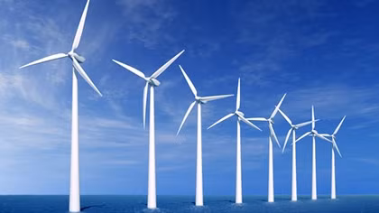 Vietnam urged to tap wind power potential