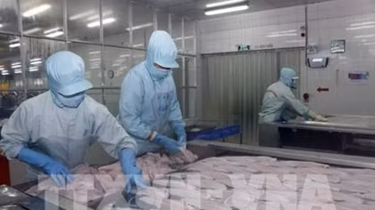 Tra fish firms report sharp rises in second quarter earnings