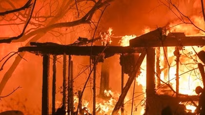 No Vietnamese victims reported in wildfires in California
