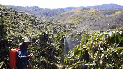 Agricultural Development of Central Highlands – seeking more Billionaire farmers