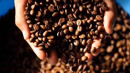 Exports of Vietnamese coffee to double by 2030