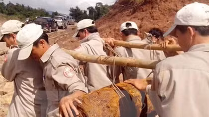 Peace Trees Vietnam hailed for healing war wounds