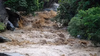 Two dead, one missing due to floods in Hoang Lien forests 