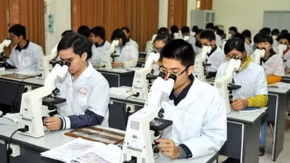 Education sector and comprehensive reform efforts