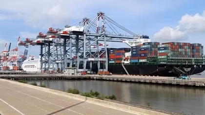 Increasing maritime transport cost making export difficult