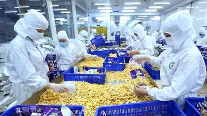 Vietnam boasts many advantageous exports to Romania: Ministry