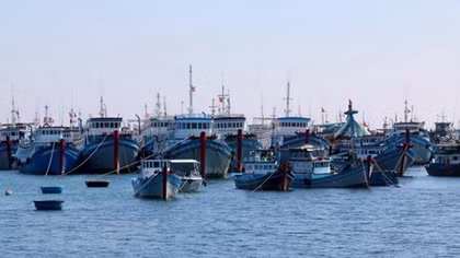 Phu Yen fishermen urged to maintain fishing activities