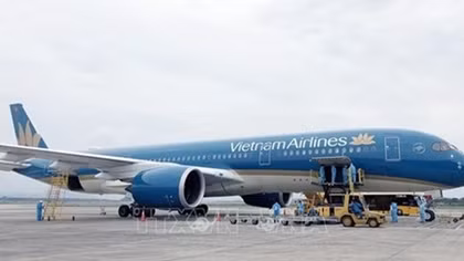 Nearly 450 Vietnamese citizens brought home from Japan