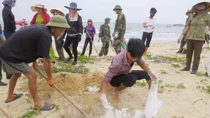Bodies, individuals responsible for Formosa incident made public