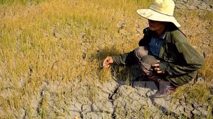 Solutions sought for population, labour migration in Mekong Delta