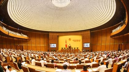 Land management must be strengthened: top legislator