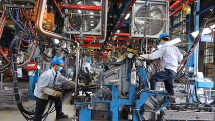 Occupational diseases threaten Vietnamese workers