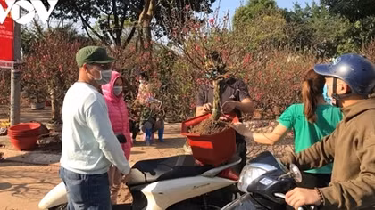 People celebrate Tet away from home as part of COVID-19 fight