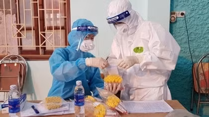 COVID-19: 50 more cases detected in four localities, 32 in Bac Giang hotspot