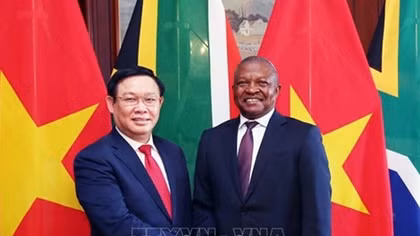 Deputy PM Vuong Dinh Hue pays working visit to South Africa