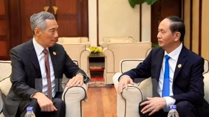 President: Vietnam always encourages Singaporean investment