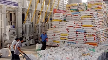 Rice export enjoys growth despite COVID-19