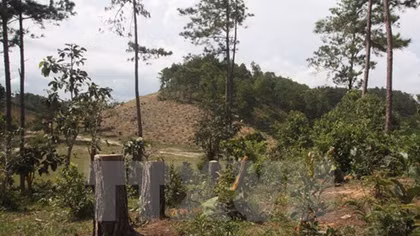 Finland helps Vietnam build forest management database