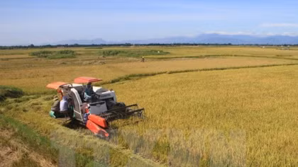 Farmers with excellent achievements to be honoured