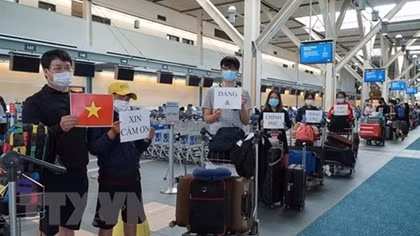 Over 310 Vietnamese citizens in RoK brought home