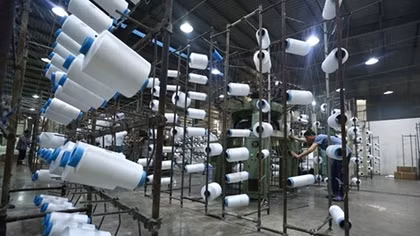 Experts: EVFTA looks towards sustainable development