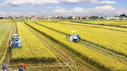 Vietnam’s agriculture to recover in 2017