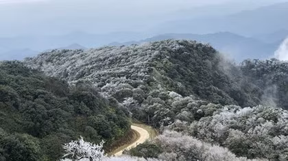 Phia Oac – Phia Den National Park announced