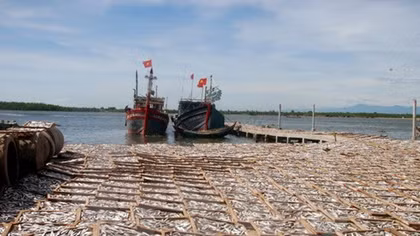 Quang Tri allocates compensation to environmental victims