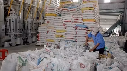 Eight-month rice exports down
