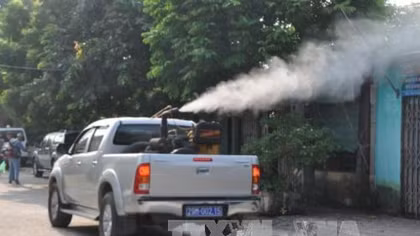 Hanoi enhances prevention of dengue fever