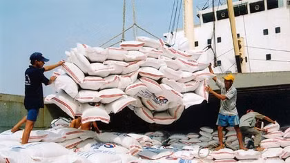 Vietnam’s rice exports drop in Q1