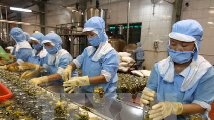 Fruit, vegetables become big foreign currency earner