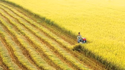 Mekong Delta’s agriculture ahead of integration challenges.