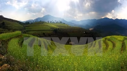 Tourism insiders seek ways to attract more foreigners to Vietnam