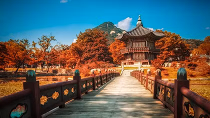 More Vietnamese tourists visit Korea