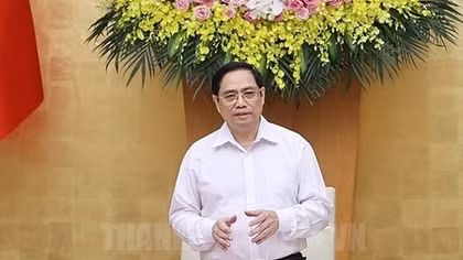 Anti-COVID special working groups established in HCM City 