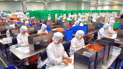 Linking for economic development in Vietnam’s southeastern region