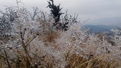 Ice covers mountains in Cao Bang as strong cold casts 