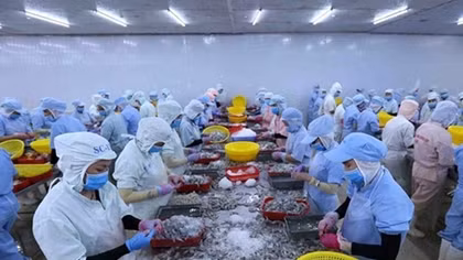 Ministry moves to beef up production, exports