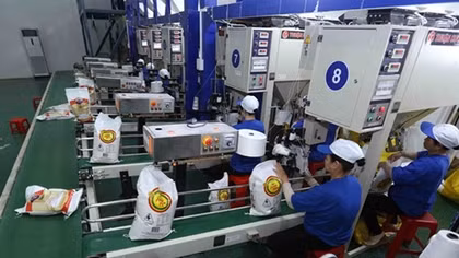 HCM City posts 7.8-percent growth in overseas shipments