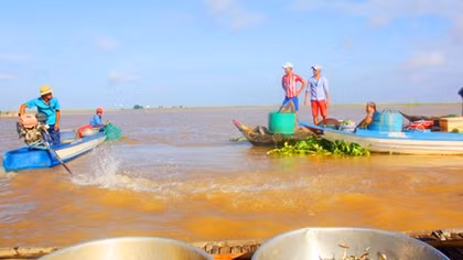 Ecosystem in Mekong River basin faces great challenges 