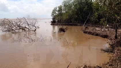 Tra Vinh needs VND76 billion to cope with drought, saline intrusion