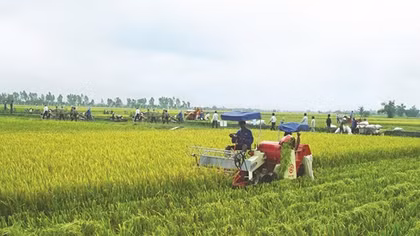 Khanh Hoa develops rural areas