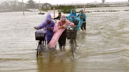 Ministry pledges rice aid to Quang Ngai