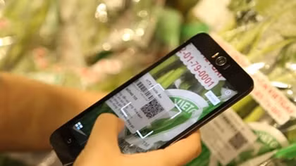 HCM City begins programme to trace vegetable origins