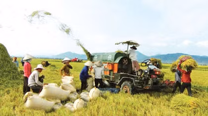 Nghe An strives to have 225 new-style rural communes by 2020