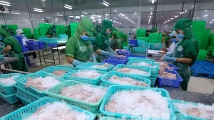 US remains largest importer of Vietnam in seven months