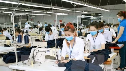 Vietnam invests 303.5 million USD abroad in 11 months